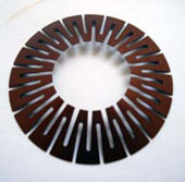 Double slotted disc spring